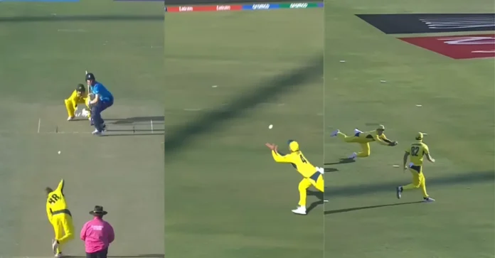 AUS vs ENG [WATCH]: Alex Carey plucks a stunner to dismiss Harry Brook in Champions Trophy 2025